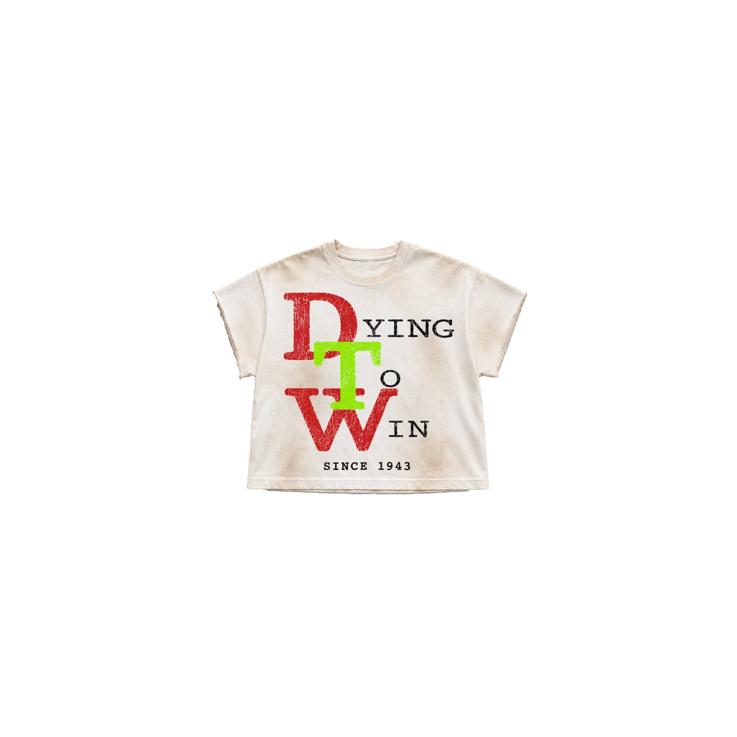 DTW VINTAGE TEE